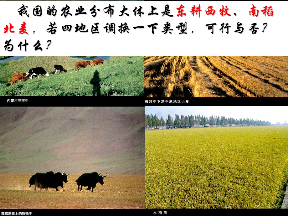 高一地理农业的区位因素.ppt_第3页