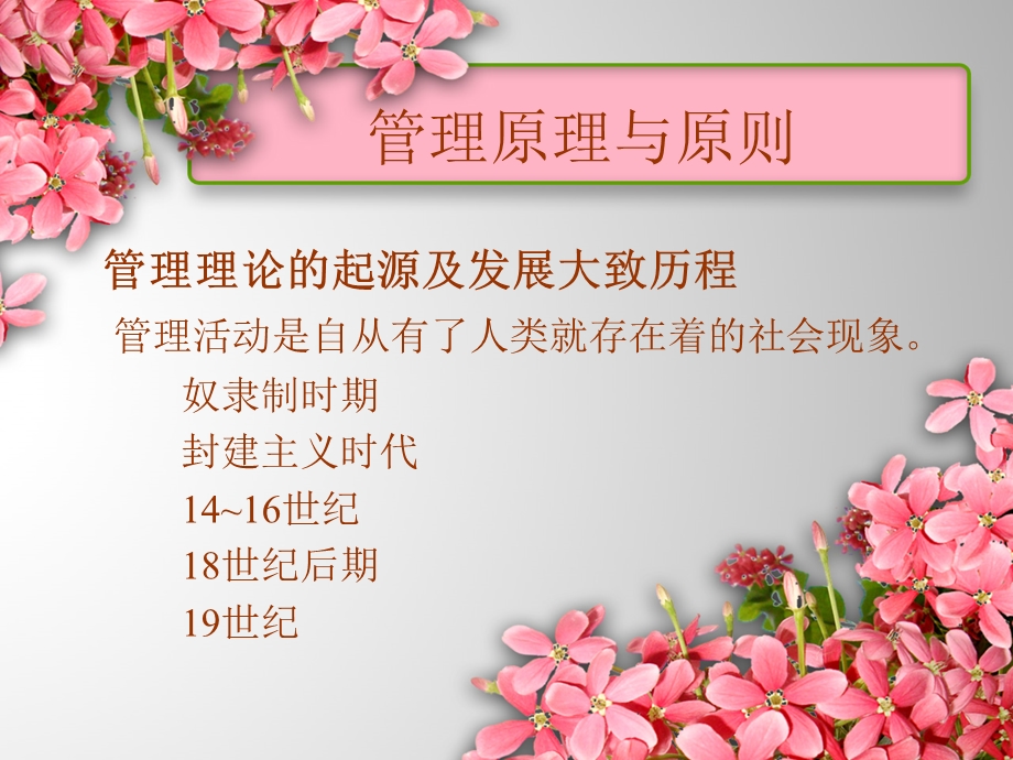 管理的原理与原则.ppt_第2页