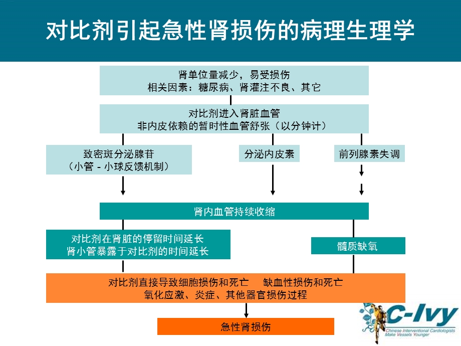 预防对比剂肾病新证据新思路.ppt_第3页