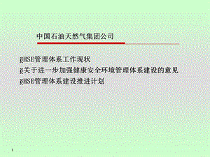 集团公司HSE管理体系政策.ppt