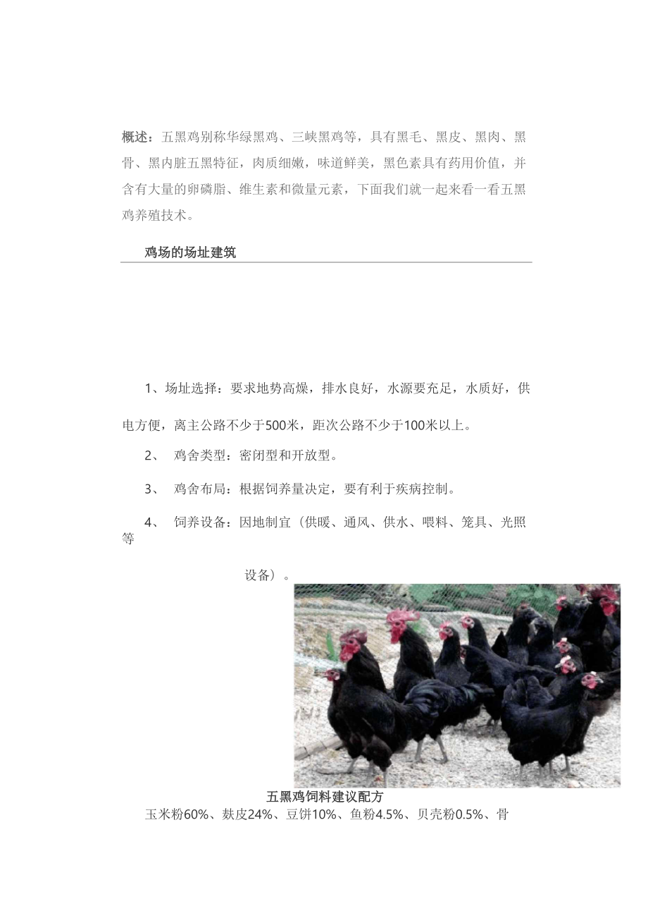 五黑鸡养殖技术.docx_第1页