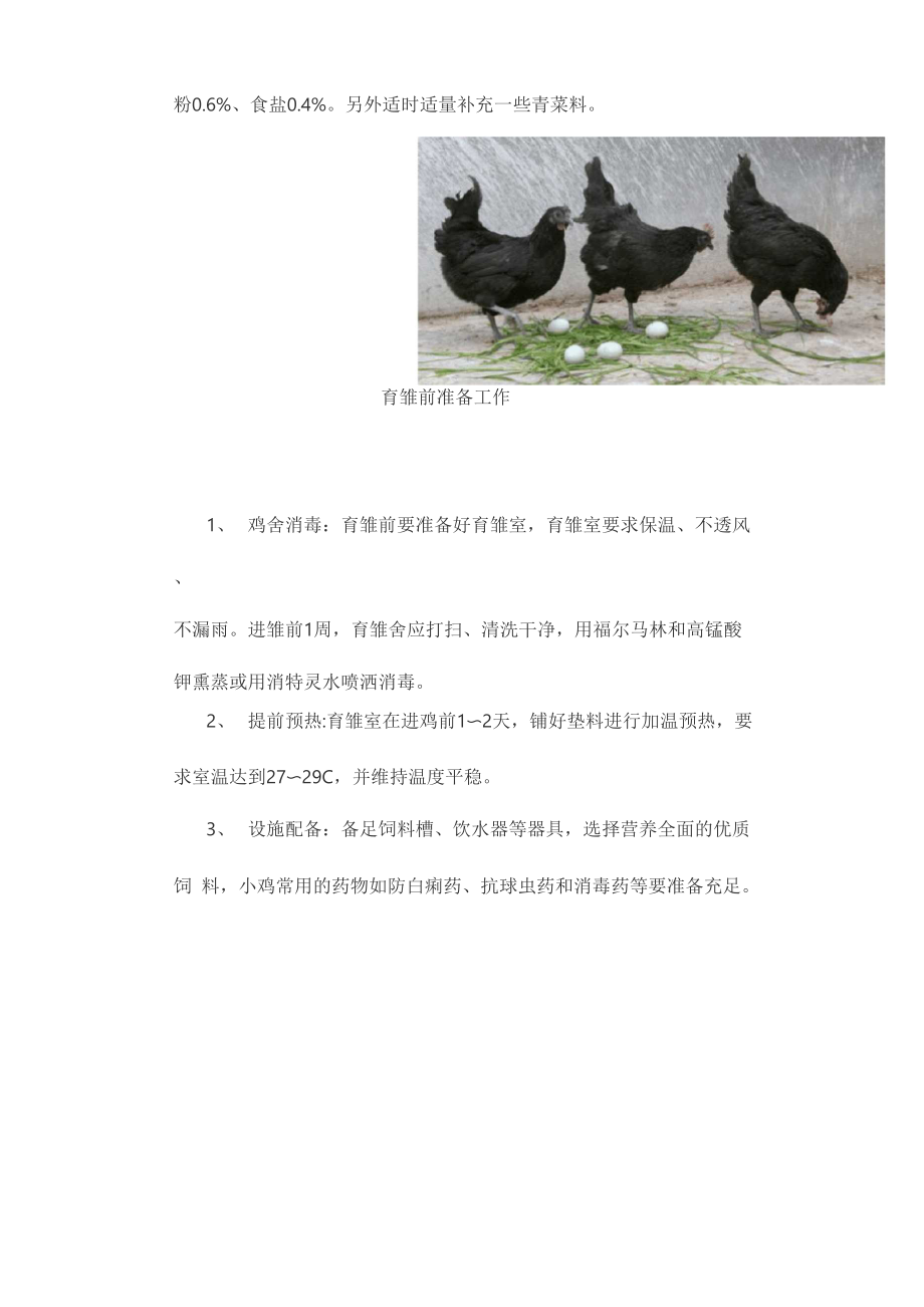五黑鸡养殖技术.docx_第2页