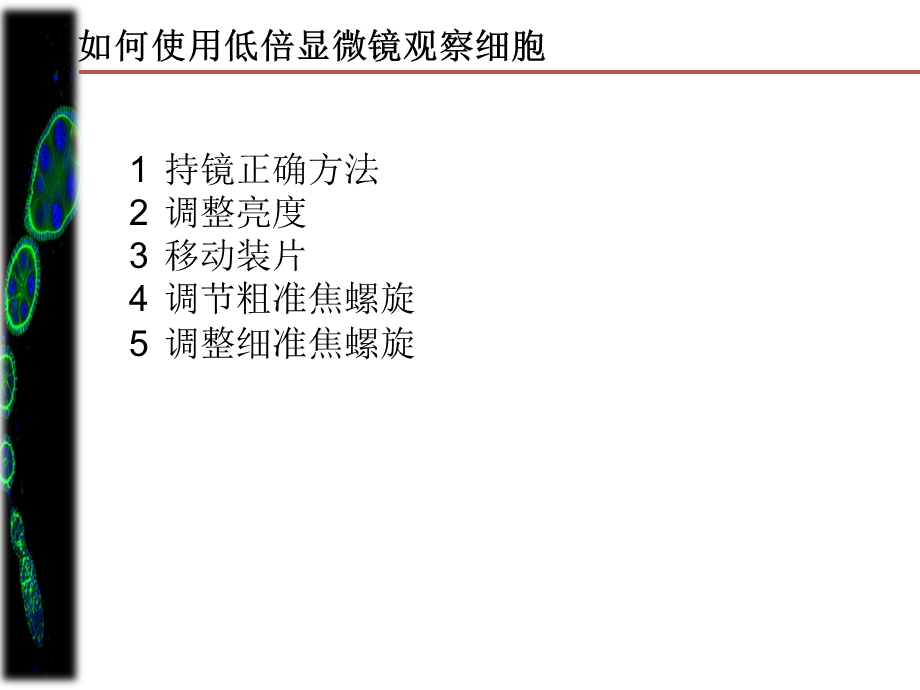 高一生物第二次课.ppt_第3页