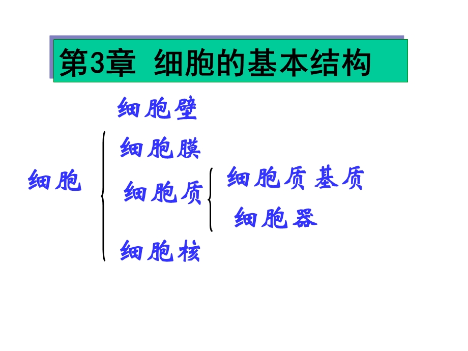 细胞膜细胞器细胞核.ppt_第2页