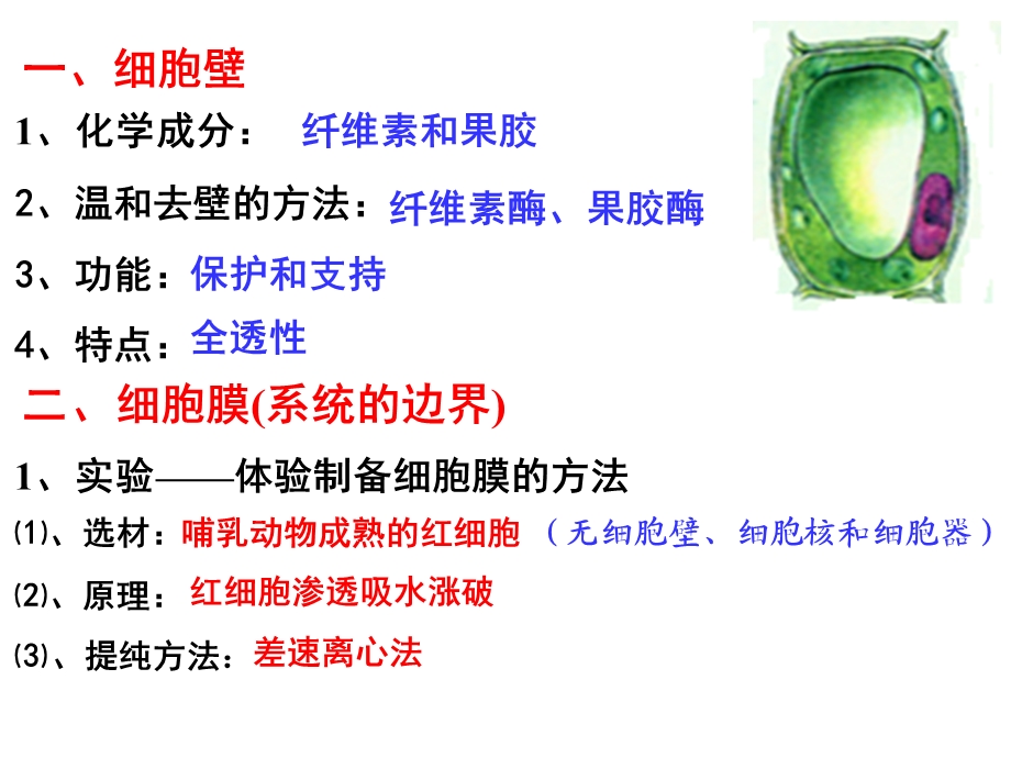 细胞膜细胞器细胞核.ppt_第3页