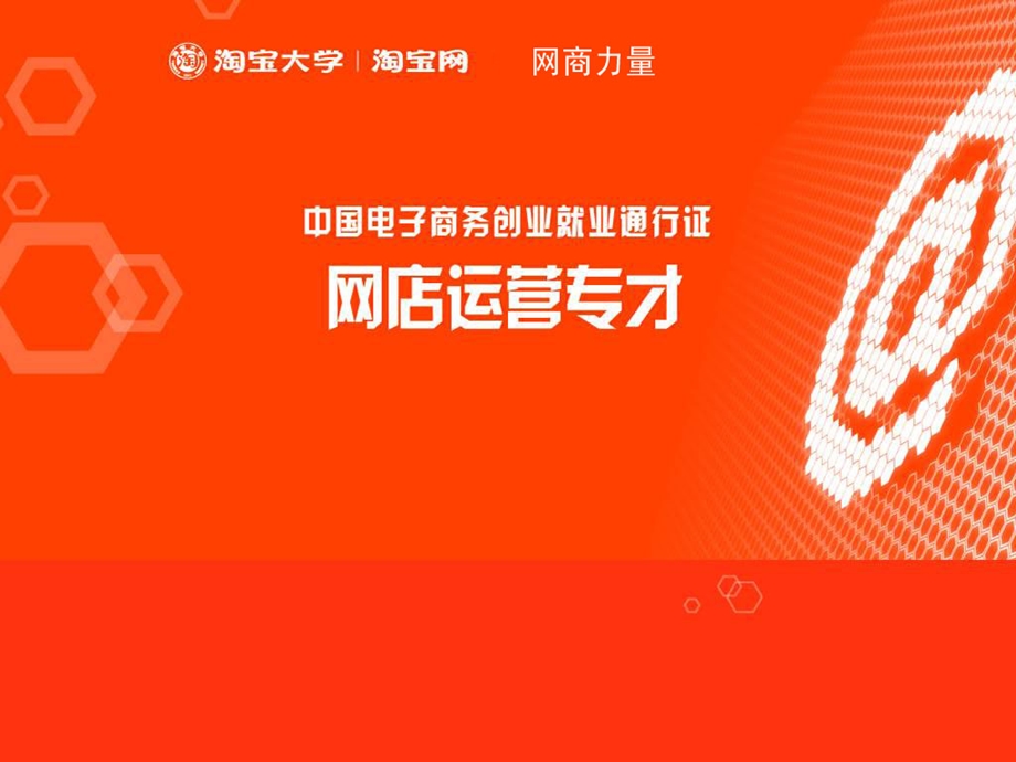 网店运营专才项目资料.ppt_第1页