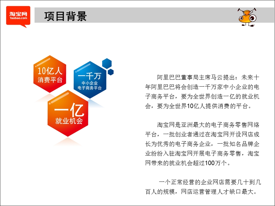 网店运营专才项目资料.ppt_第2页