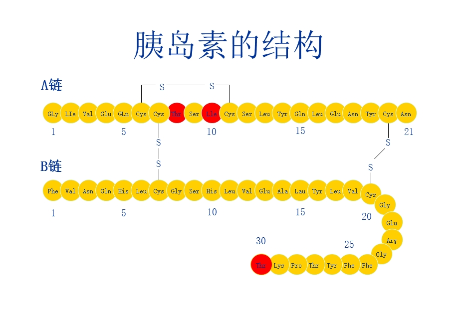 糖尿病的胰岛素治疗.ppt_第2页