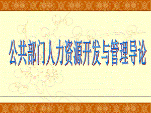 公共部门人力资源开发.ppt