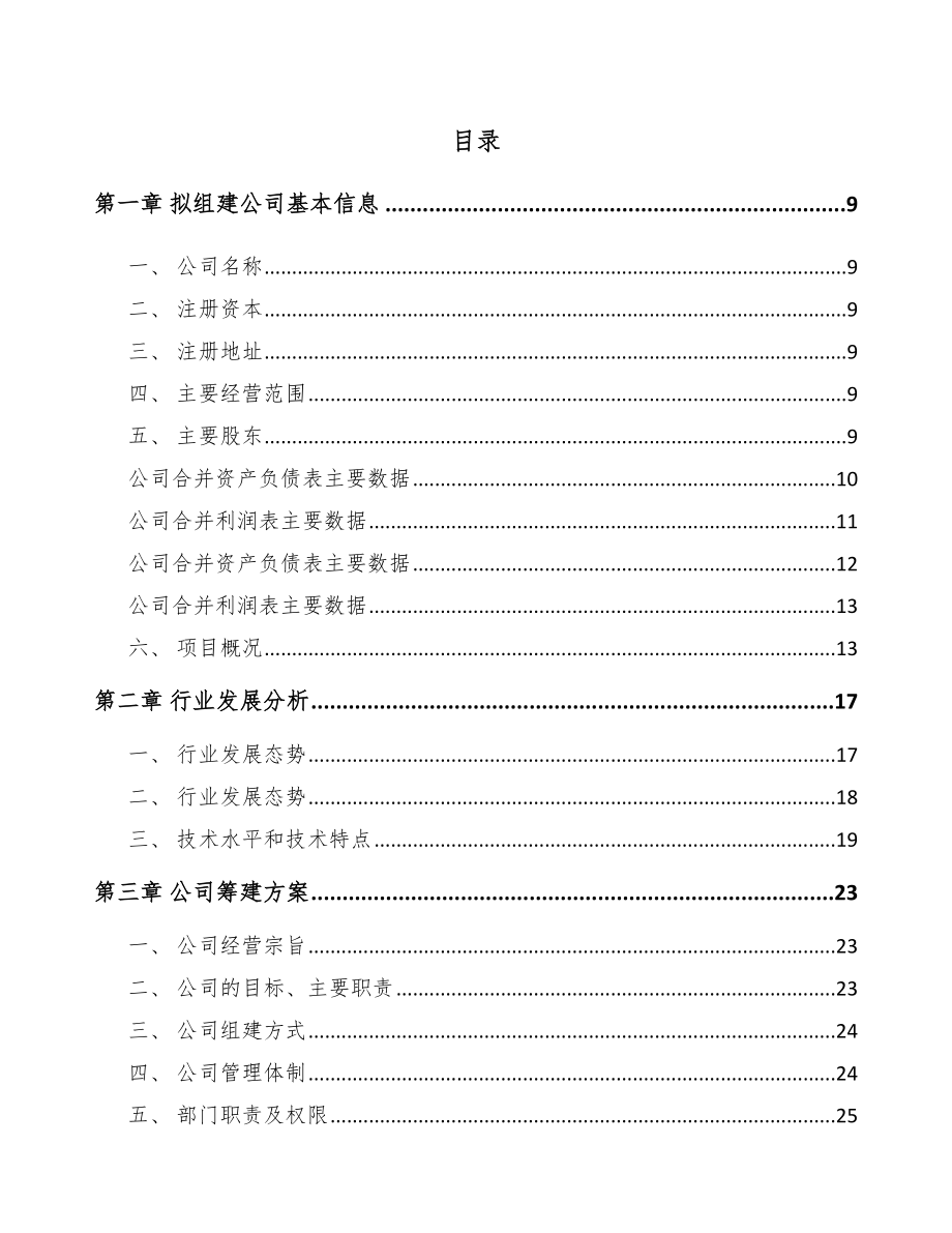 太原关于成立锂电材料公司可行性研究报告.docx_第2页