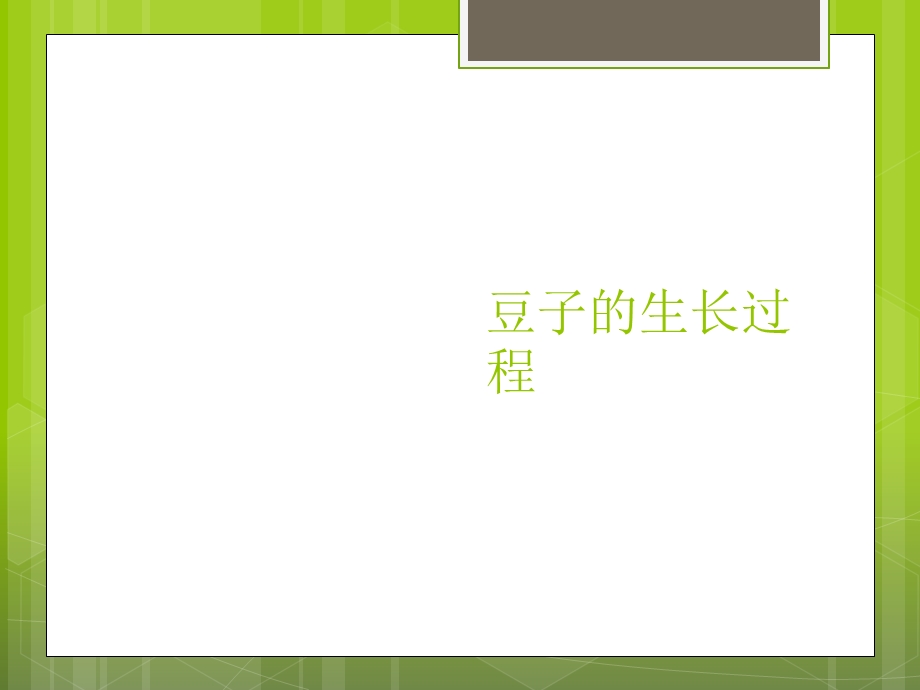 豆子的生长过程.ppt_第1页