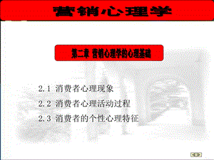 营销心理学的心理基础.ppt