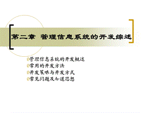 管理信息统系开发综述.ppt