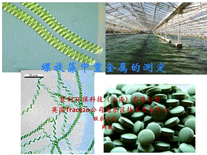 螺旋藻中重金属的检测.ppt