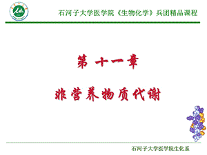 非营养物质代谢.ppt