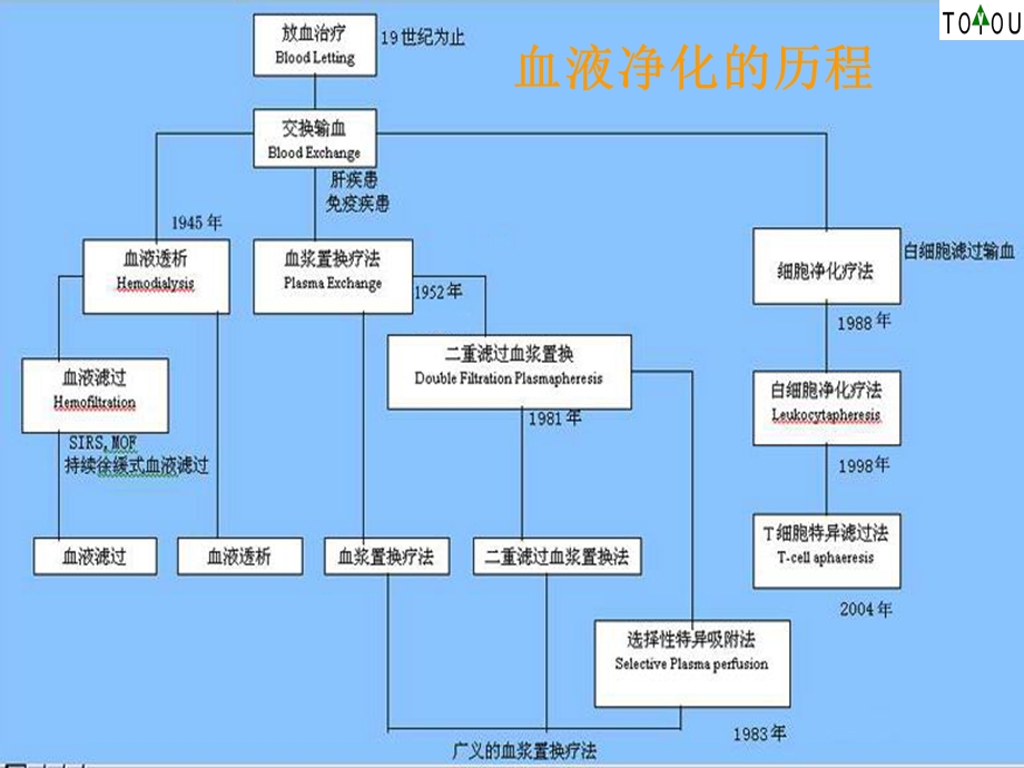 肝功能衰竭与血浆置换的临床应用.ppt_第2页