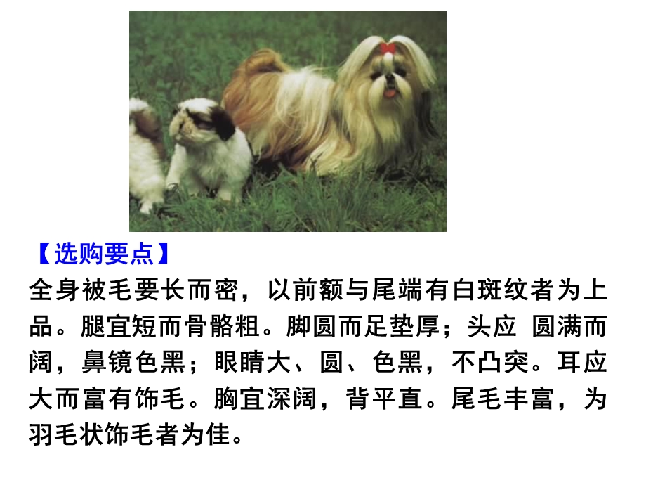 观赏动物学世界名犬.ppt_第2页