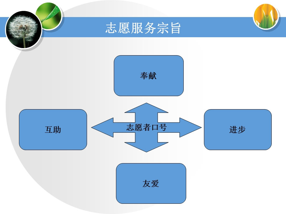 青年志愿者协会培训.ppt_第3页