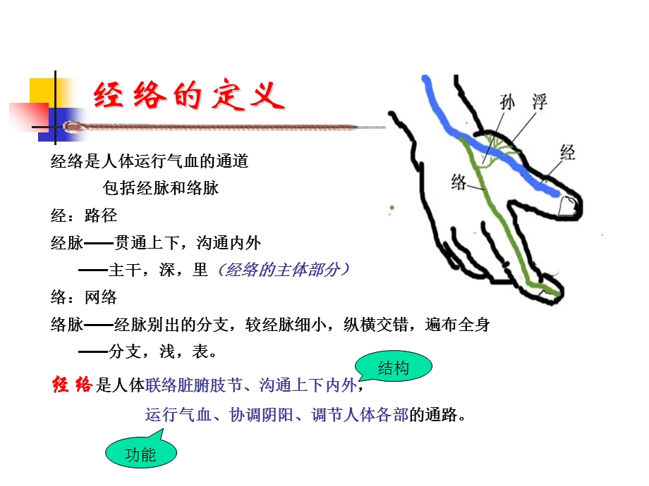 经络总论-针灸学课件(南京中医药大学).ppt_第2页