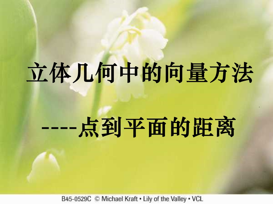 立体几何中的向量方法：点到平面的距离.ppt_第1页