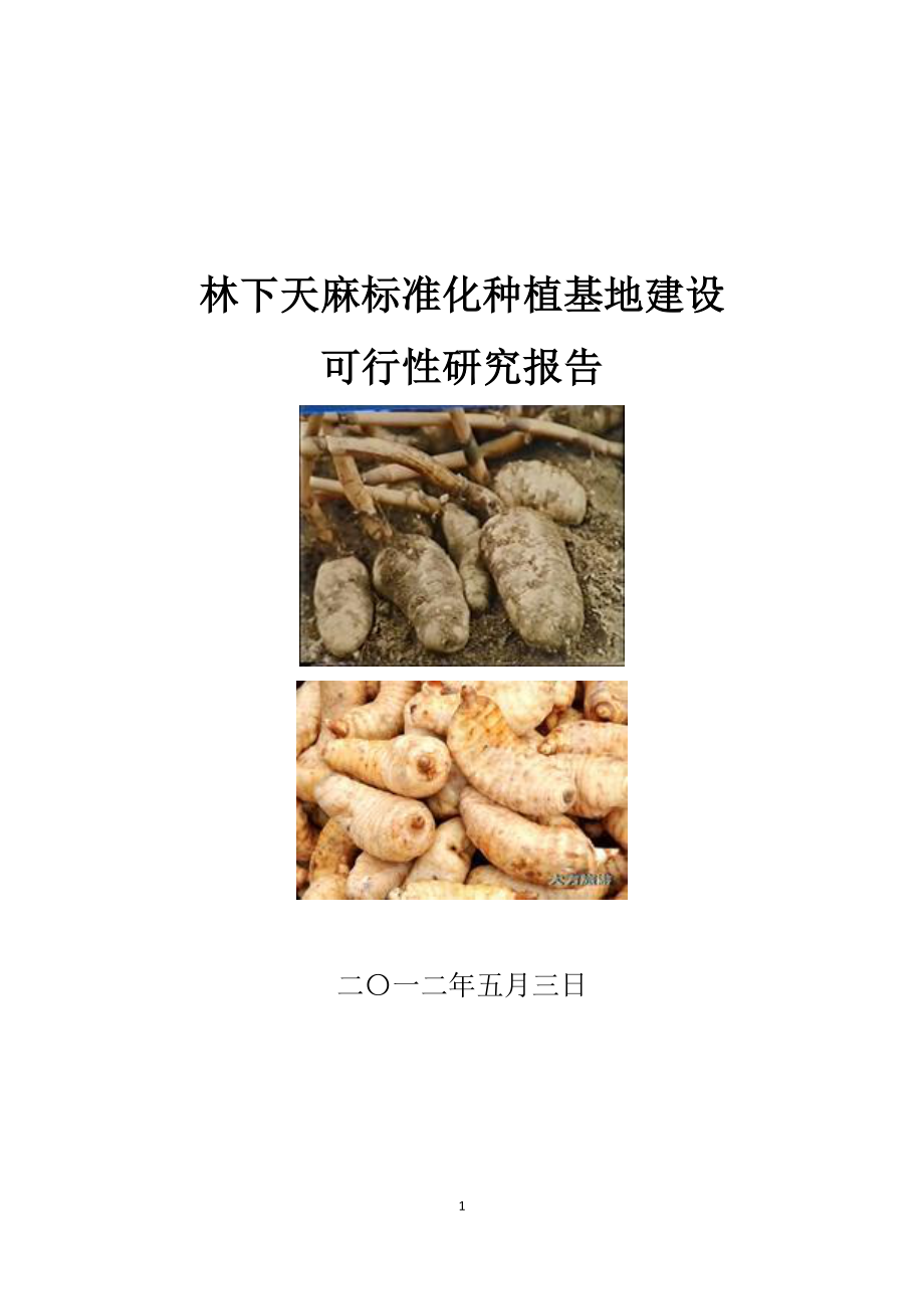 天麻标准化种植基地建设可行性研究报告.doc_第1页