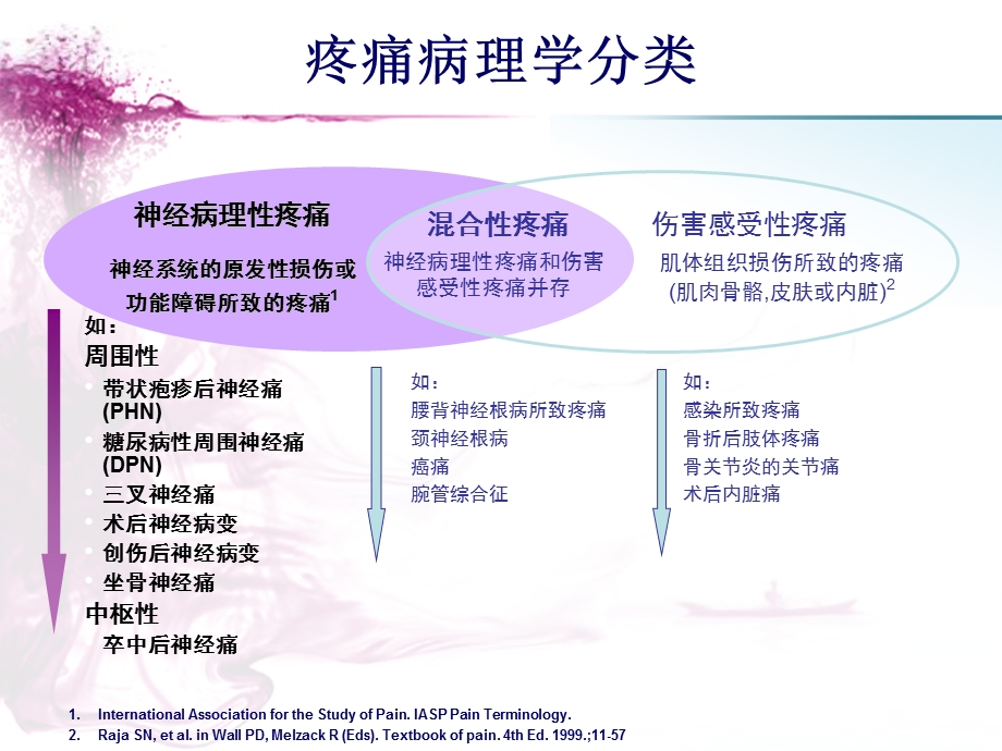 神经病理性疼痛的诊治.ppt_第2页