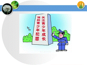 预防未成年人不良.ppt