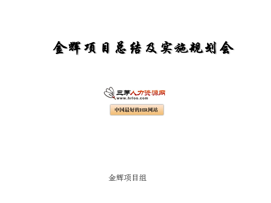 项目总结及实施规划会.ppt_第1页