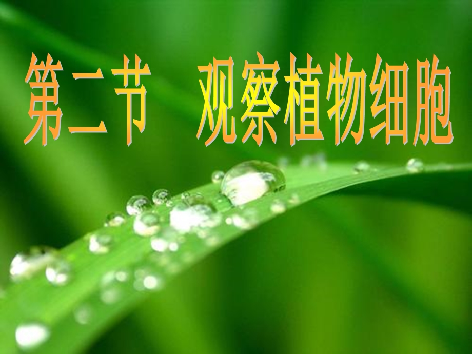 观察植物细胞与动物细胞.ppt_第1页