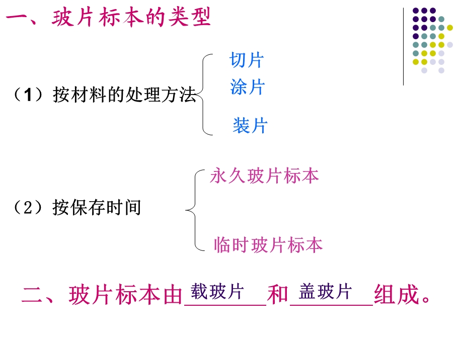 观察植物细胞与动物细胞.ppt_第2页