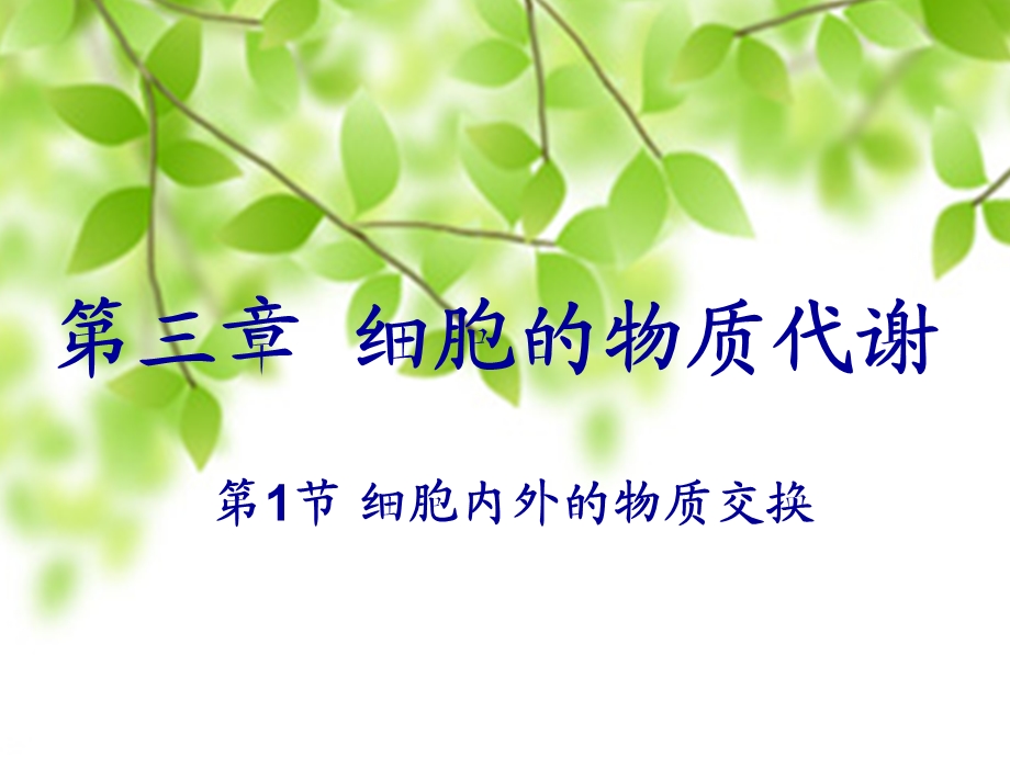 细胞的物质代谢.ppt_第1页