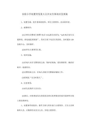 实验小学处置突发重大公共安全事故应急预案.docx