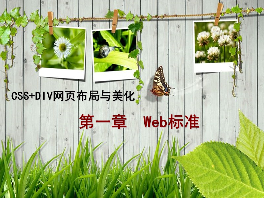 1.Web标准CSSDIV网页布局与美化.ppt_第1页