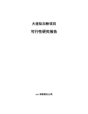 大连钛白粉项目可行性研究报告.docx