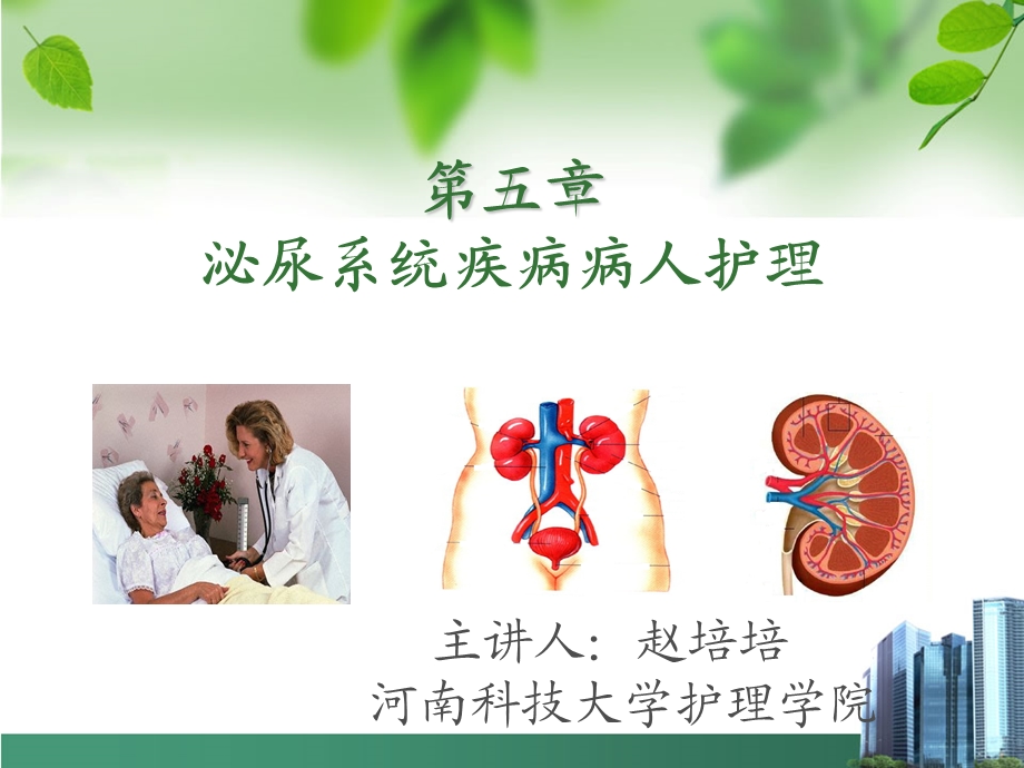 肾病综合症的护理.ppt_第1页