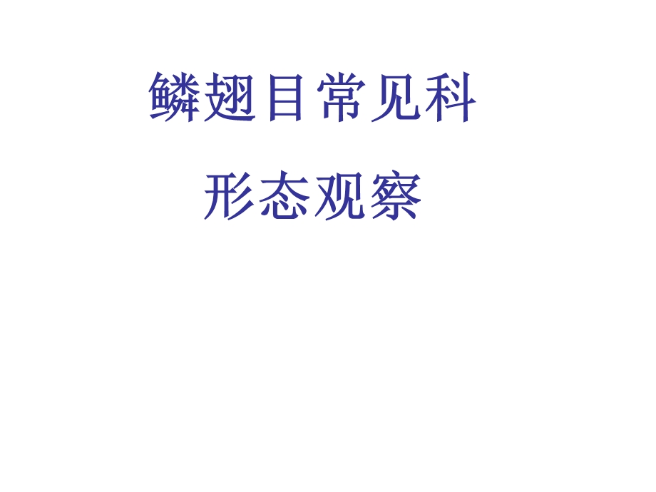 鳞翅目主要科的特征.ppt_第1页