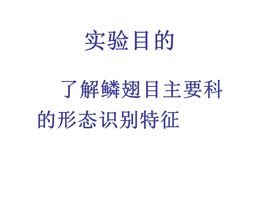 鳞翅目主要科的特征.ppt_第2页