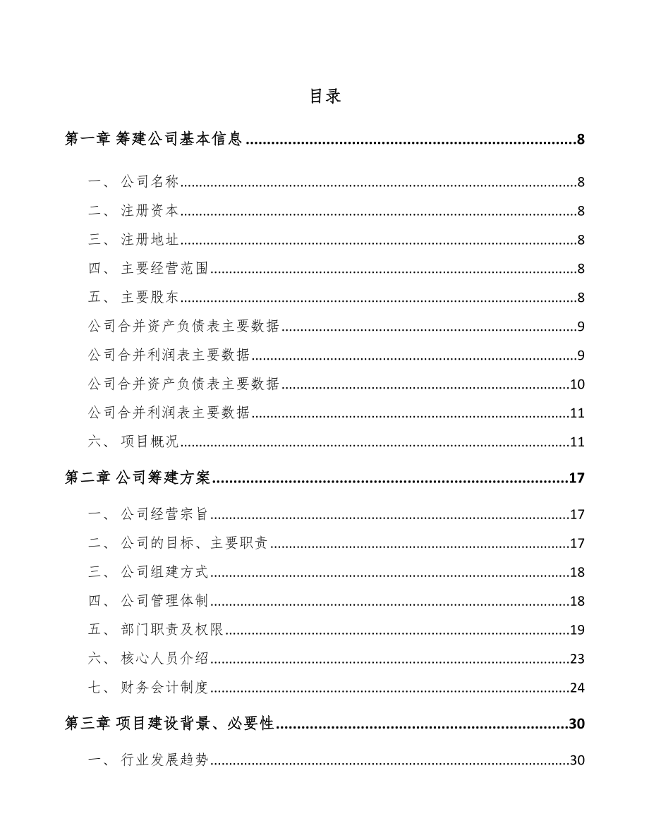 大连关于成立转轴公司可行性研究报告模板范本.docx_第2页