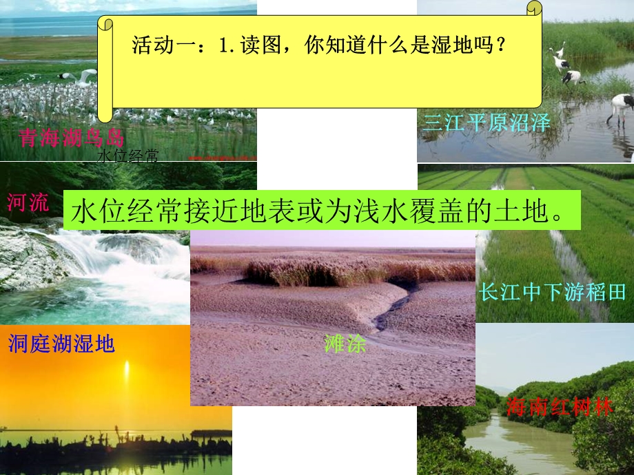 高二地理湿地资源的开发与保护.ppt_第3页