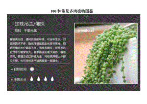 100种常见多肉植物图鉴(全).doc