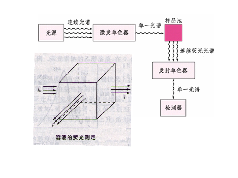 荧光定量分析方法.ppt_第3页