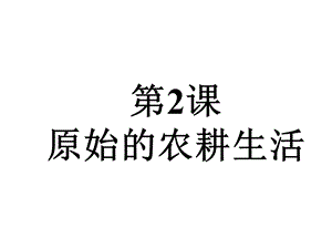 课原始的农耕生活.ppt