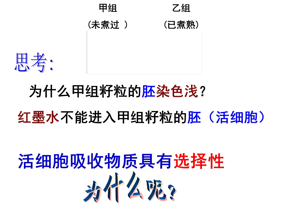 细胞膜和细胞壁.ppt_第3页