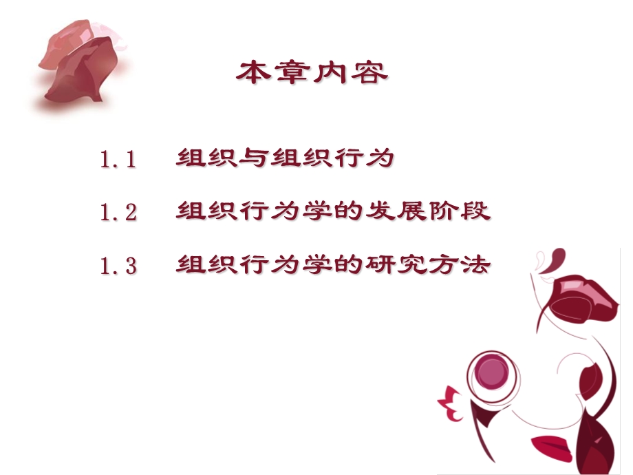 组织行为学概述.ppt_第2页