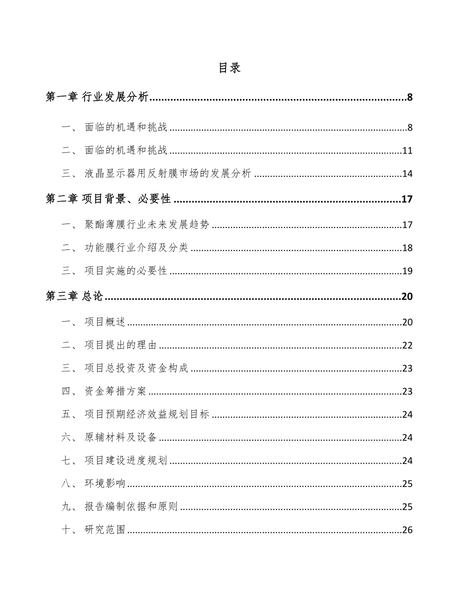 大连功能膜项目可行性研究报告.docx_第2页