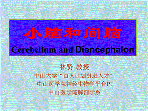 神经解剖学04小脑和间脑.ppt