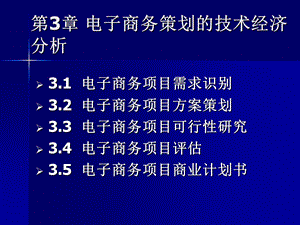 讲义形式打印电子商务项目策划的经济技术分析.ppt