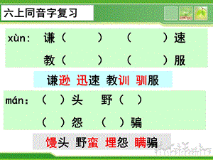 苏教六上语文同音字.ppt