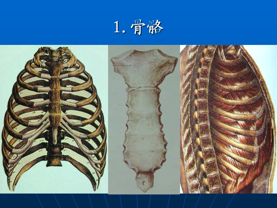 胸外科带教资料胸部损伤完成版.ppt_第3页