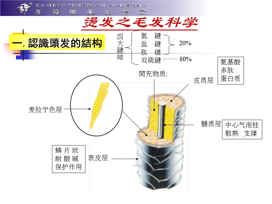 酸碱平衡烫区别与新染膏的说明.ppt_第3页